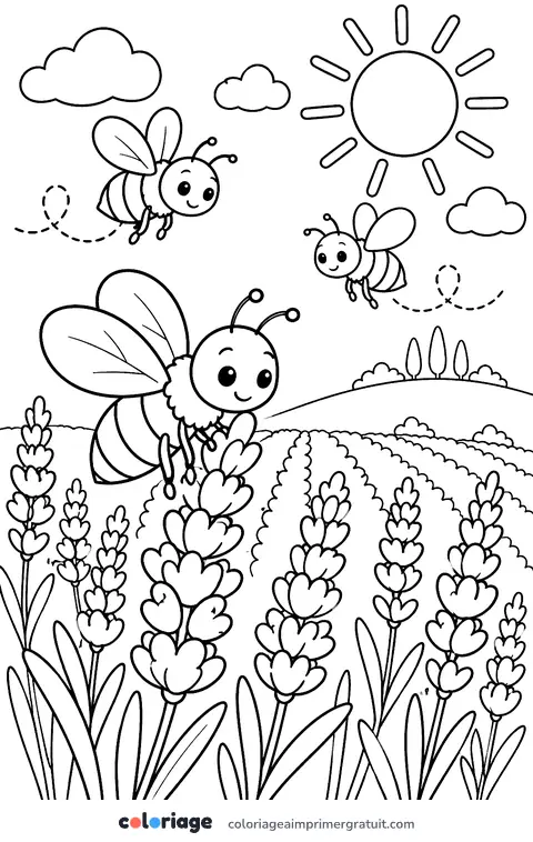 Coloriage abeilles dans la lavande