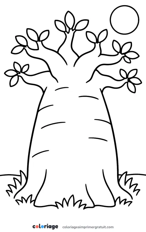 Coloriage baobab