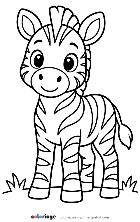 Coloriage petit zèbre