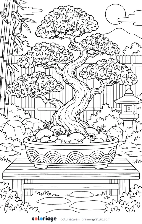 Coloriage bonsaï