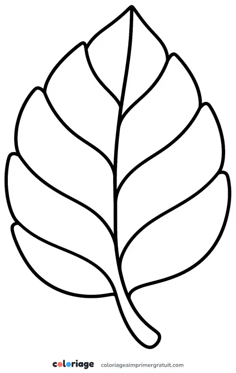Coloriage feuille géante