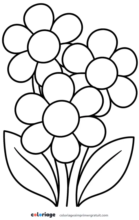 Coloriage grandes fleurs