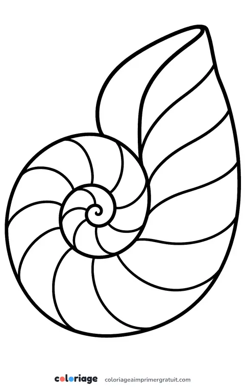 Coloriage coquillage nautile