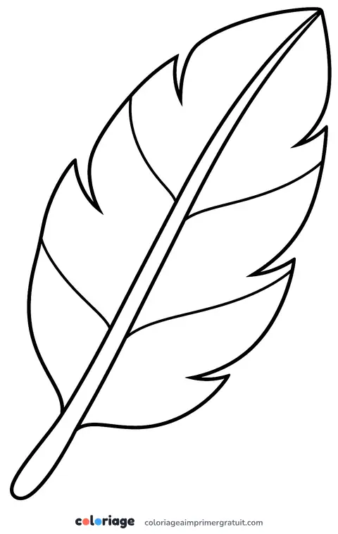 Coloriage grande plume