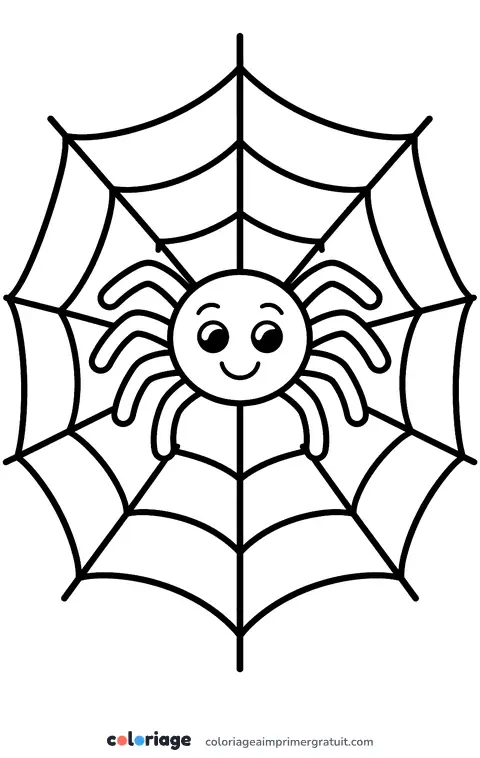 Coloriage petite araignée sur sa toile