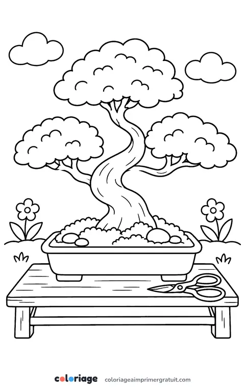 Coloriage bonsaï