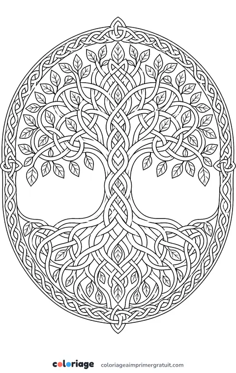 Coloriage arbre celtique