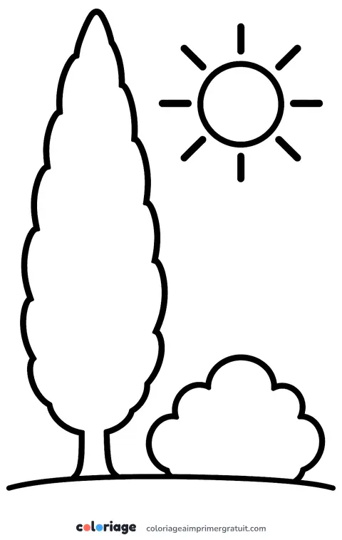 Coloriage cyprès