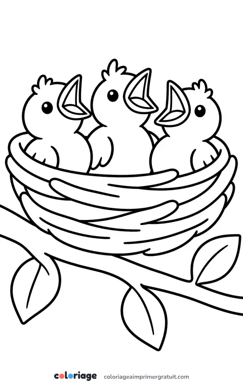 Coloriage nid dans l’arbre