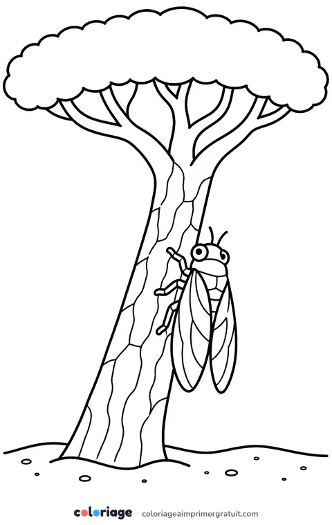 Coloriage pin parasol