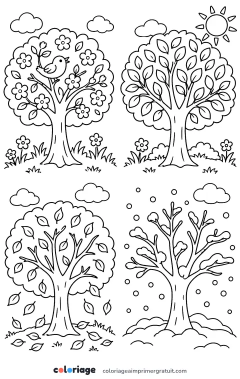 Coloriage arbre des quatre saisons