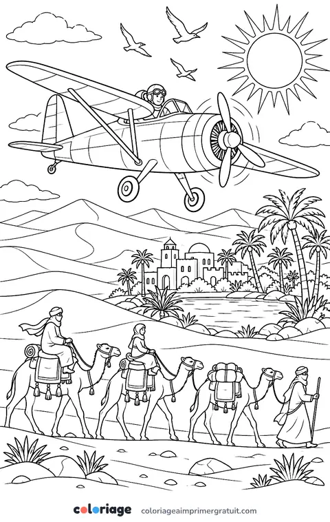 Coloriage survol du désert