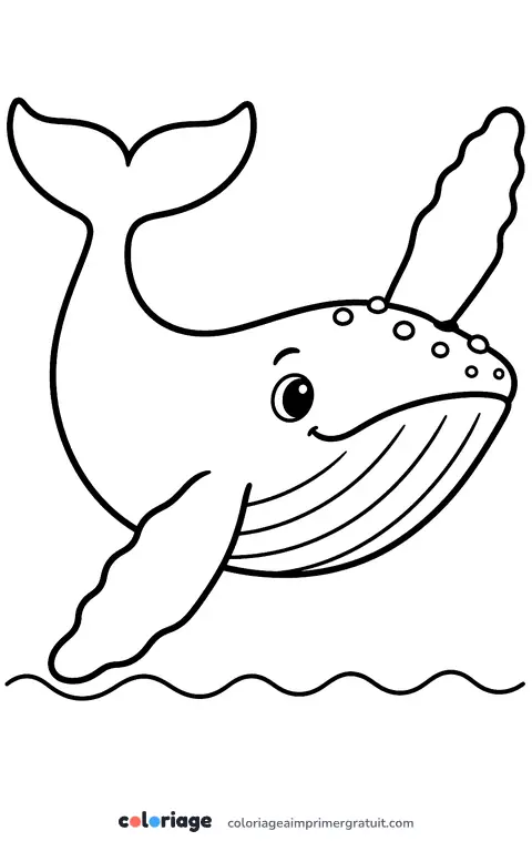 Coloriage baleine à bosse qui fait coucou