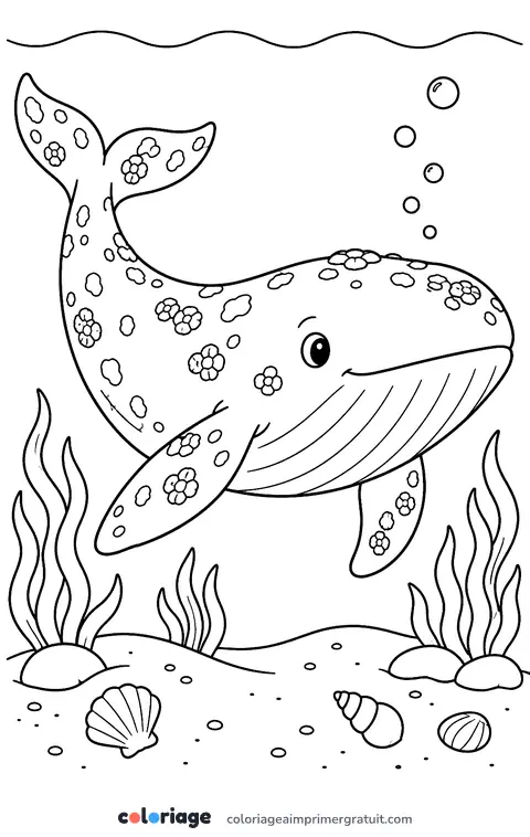 Coloriage baleine grise et ses bernacles