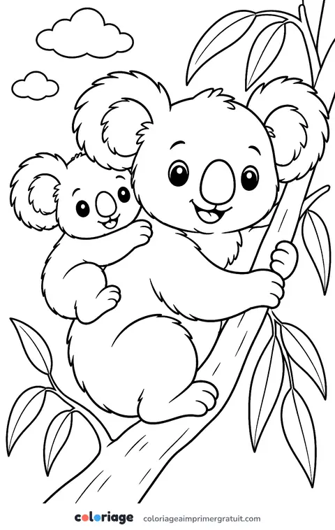 Coloriage bébé koala