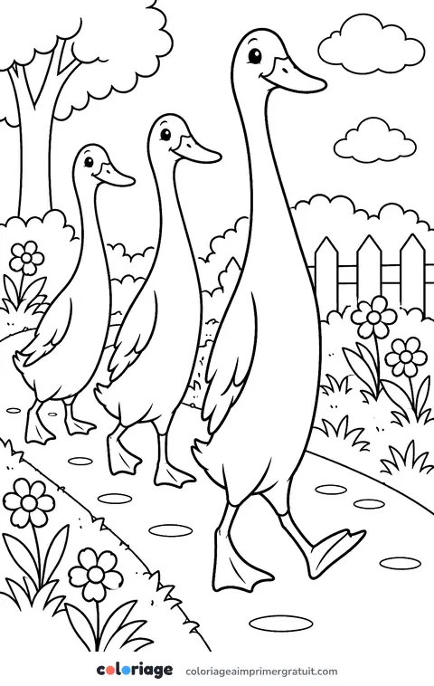 Coloriage canard coureur indien