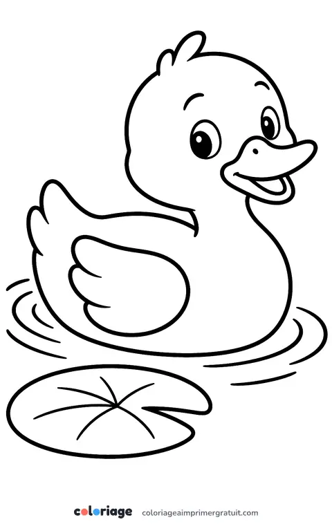 Coloriage canard qui nage