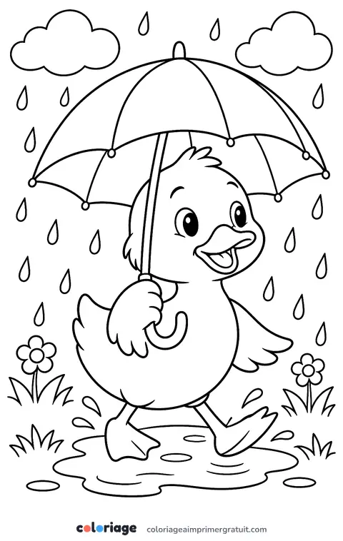 Coloriage canard sous la pluie