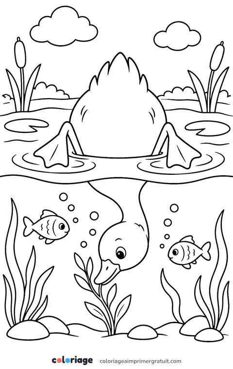 Coloriage canard qui plonge