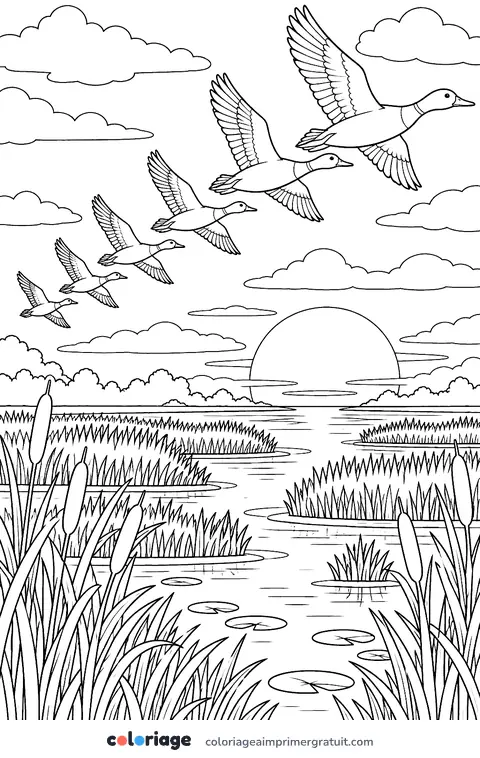 Coloriage vol de canards