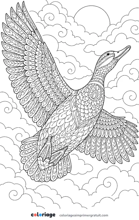 Coloriage canard en vol