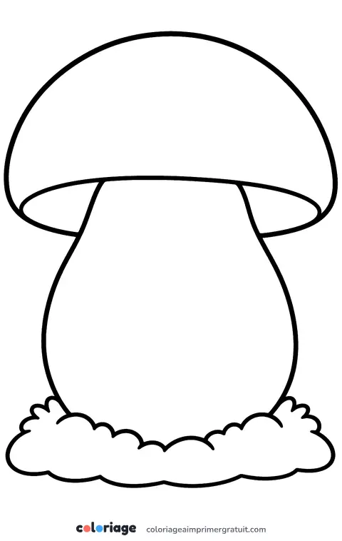 Coloriage cèpe dodu