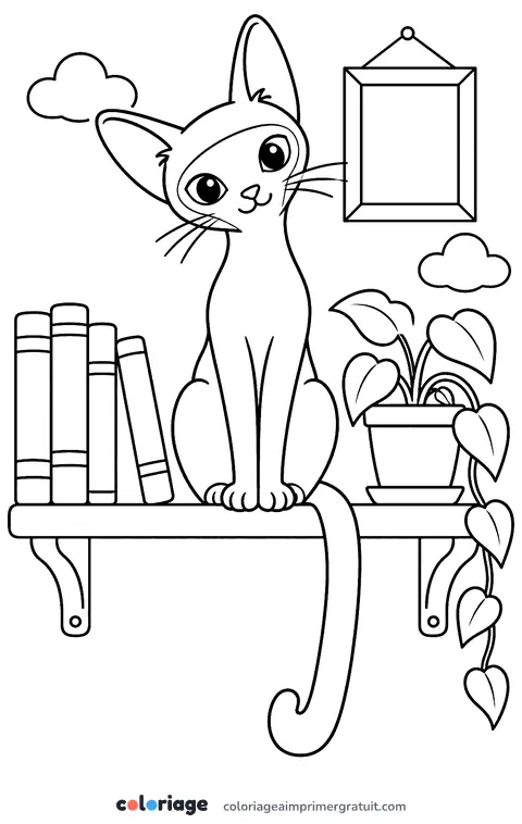 Coloriage chat siamois sur l’étagère