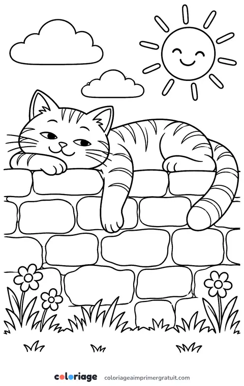 Coloriage chat sur un muret