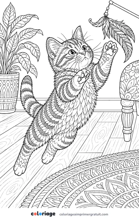Coloriage chaton réaliste qui joue