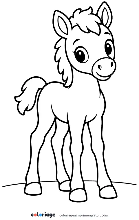 Coloriage poulain