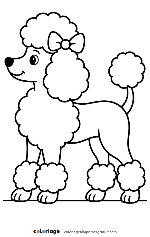 Coloriage caniche