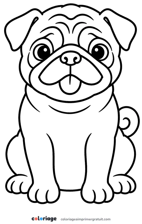 Coloriage carlin assis