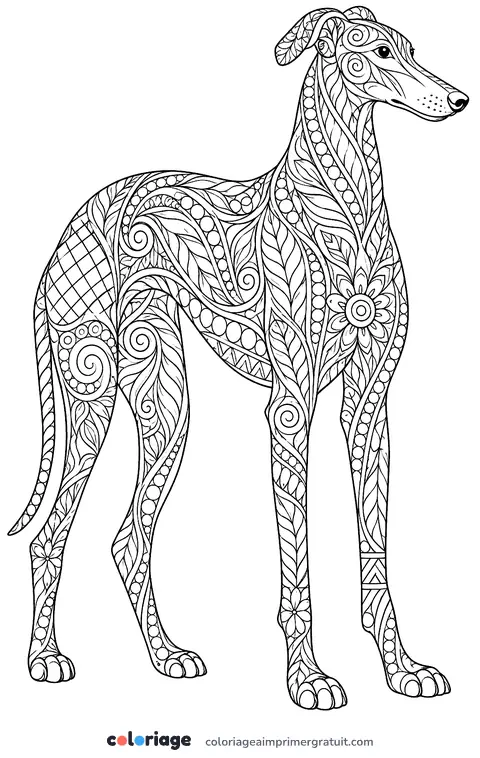 Coloriage lévrier zentangle