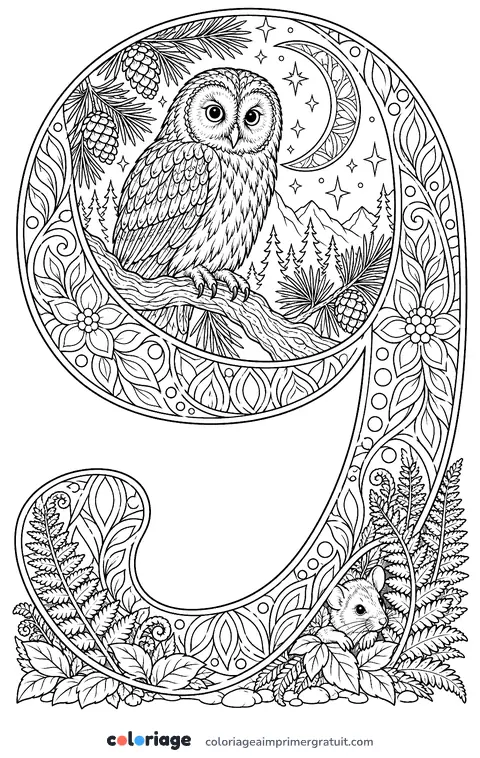 Coloriage chiffre 9 et le hibou