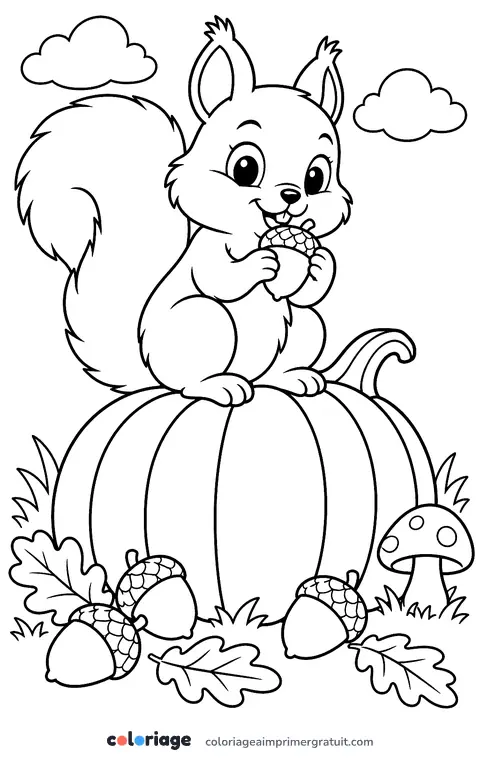 Coloriage écureuil sur la citrouille