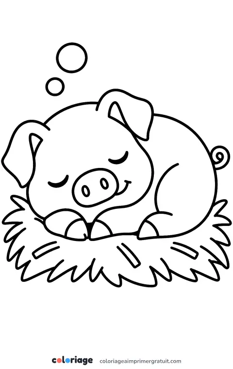 Coloriage cochon qui dort