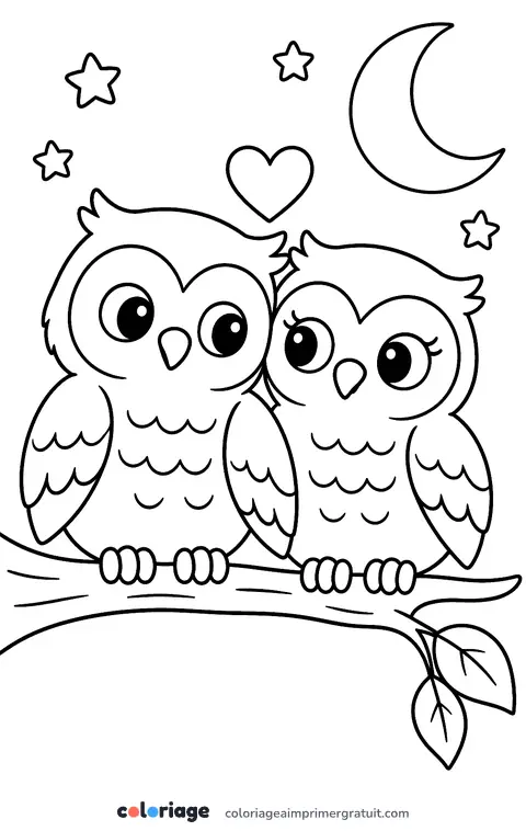 Coloriage hiboux amoureux