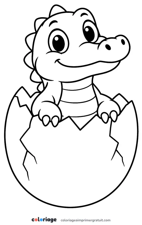 Coloriage bébé crocodile qui sort de l’œuf