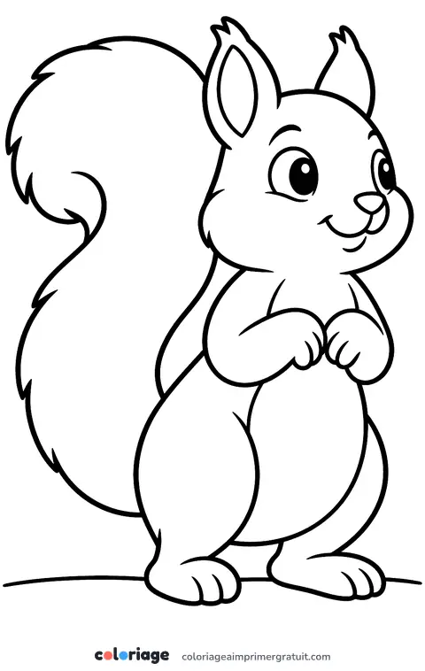 Coloriage écureuil qui fait le beau