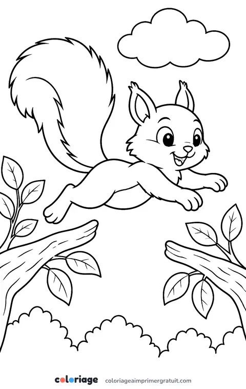 Coloriage écureuil qui saute