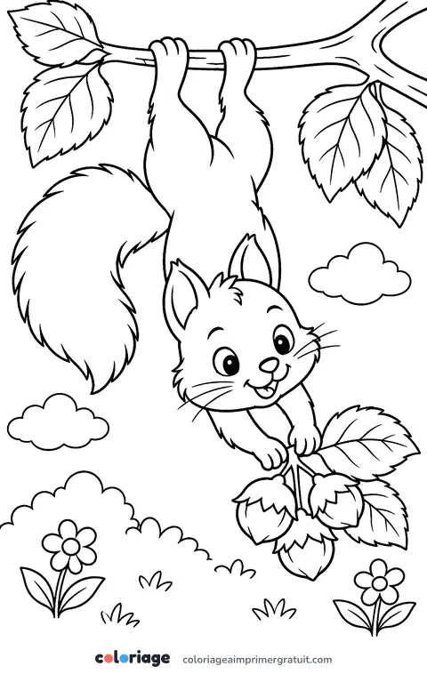 Coloriage écureuil tête en bas