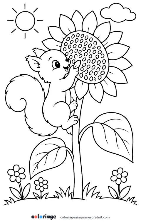 Coloriage écureuil et tournesol