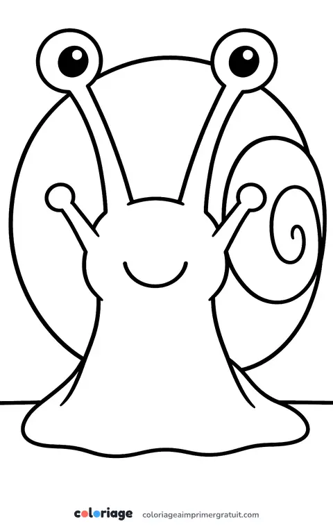 Coloriage escargot de face