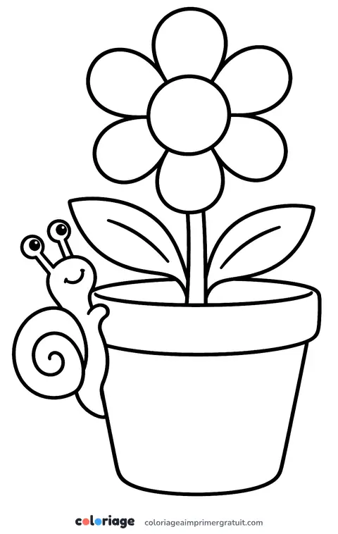 Coloriage escargot qui grimpe