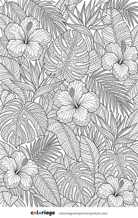 Coloriage motif tropical