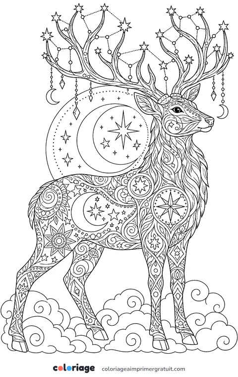 Coloriage cerf céleste