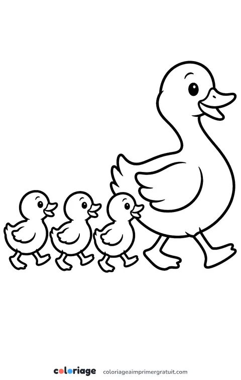 Coloriage famille canard