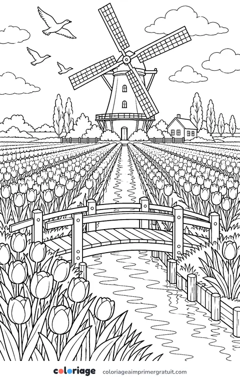 Coloriage champ de tulipes et moulin