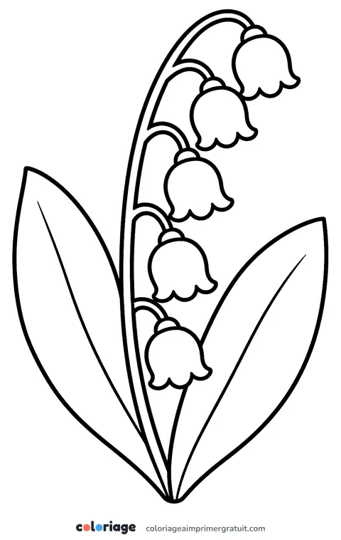 Coloriage brin de muguet