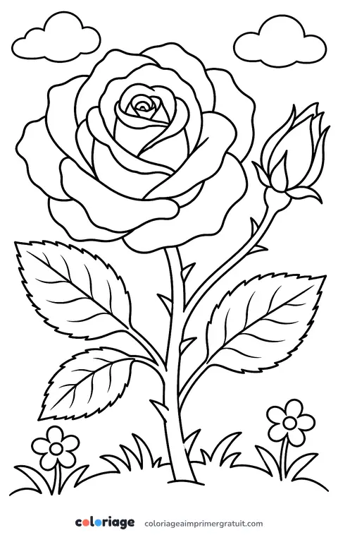 Coloriage rose épanouie
